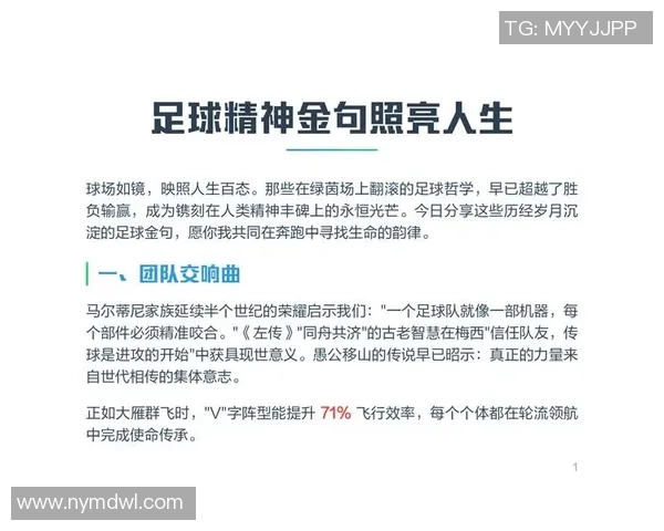 南京足球队的精神探秘与荣耀传承之路